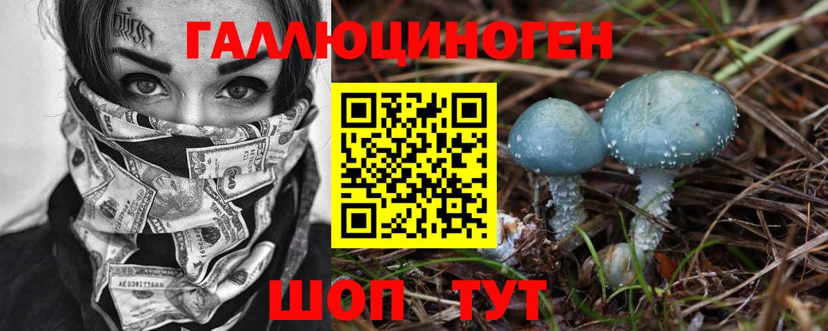 Галлюциногенные грибы MAGIC MUSHROOMS  Псилоцибиновые грибы GOLDEN TEACHER  Новокузнецк  Вход с VPN 